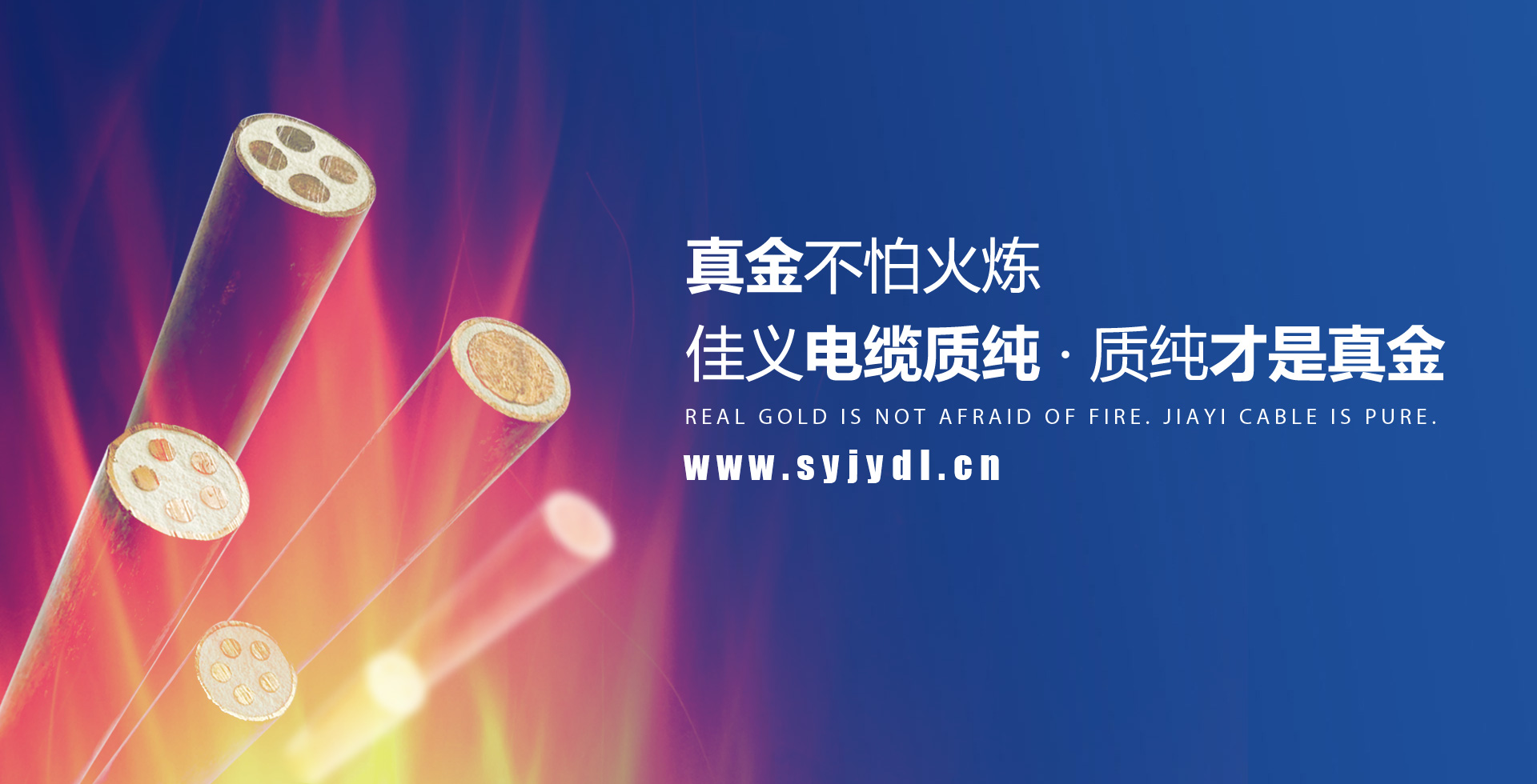 东北91香蕉视频免费下载厂家