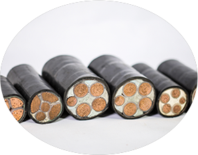 91香蕉视频免费下载厂家